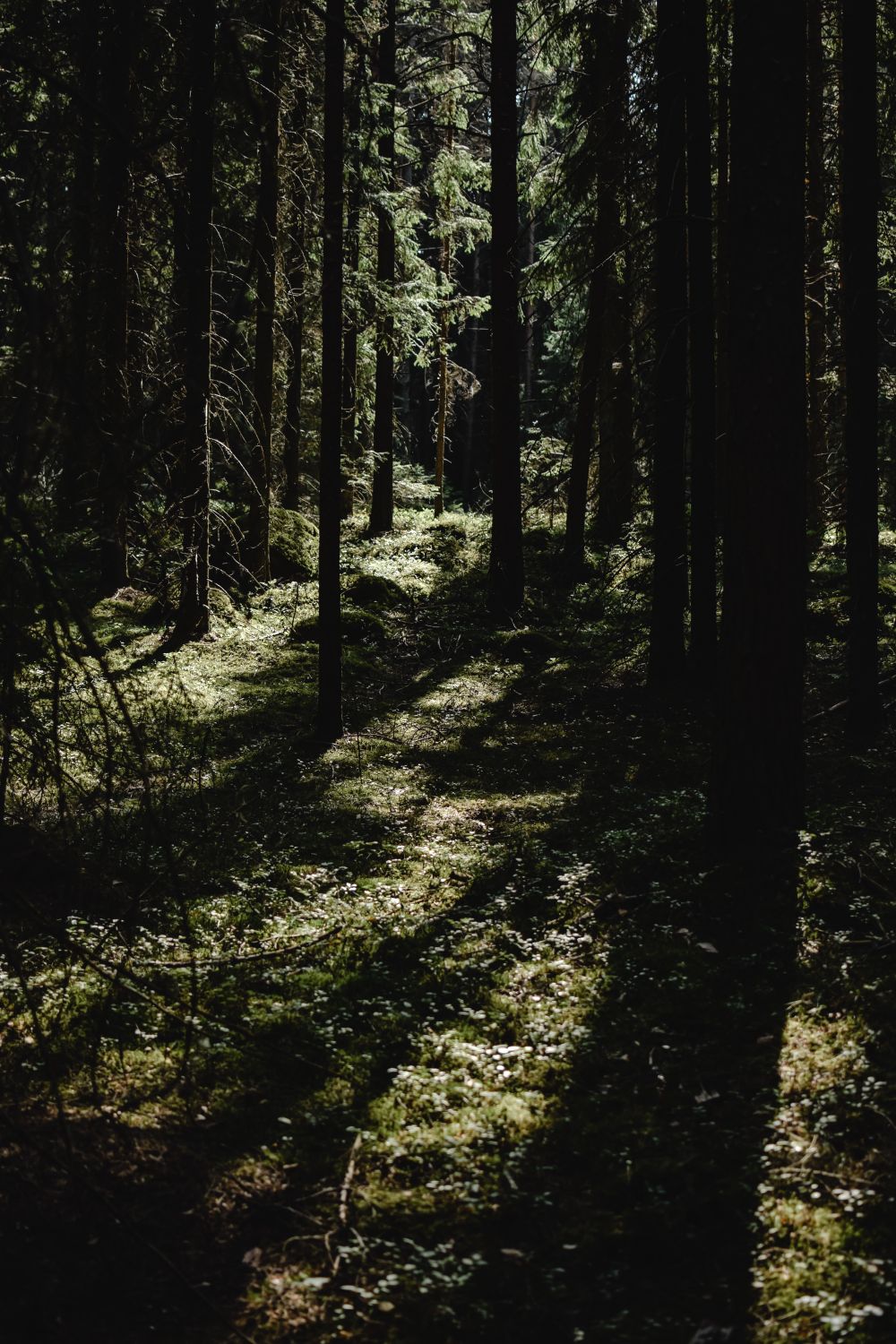 Beitrag auf Instagram